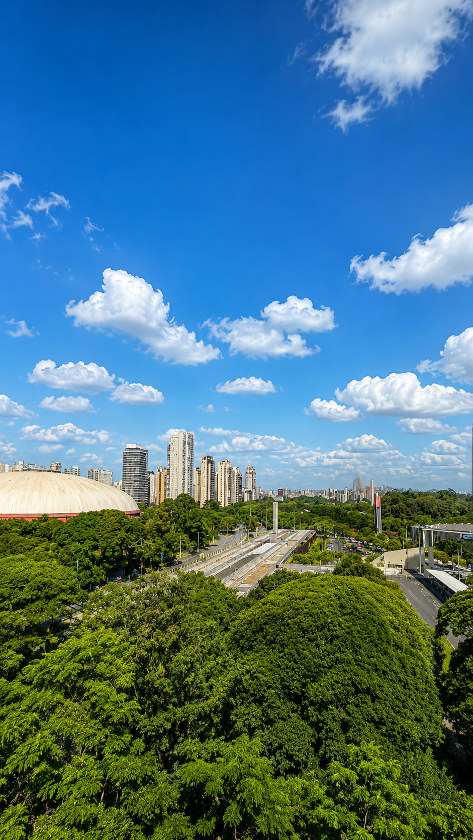 A Nova Definição de Alto Padrão: 355m² de Pura Elegância - Imagem 6